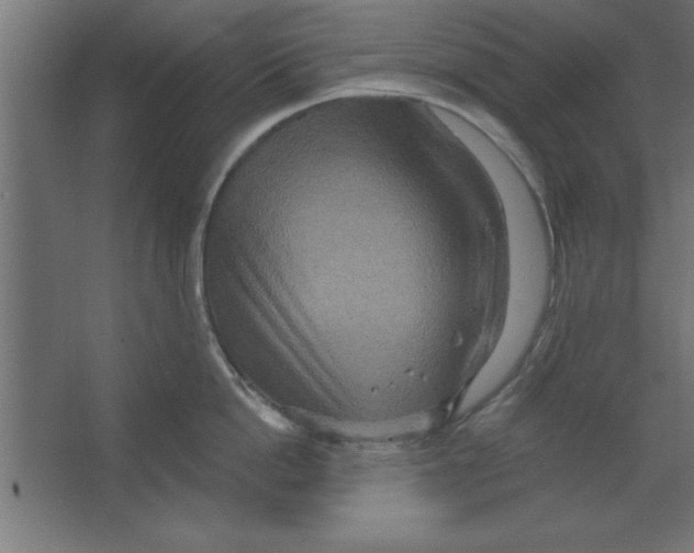 X0000067350862200604212000