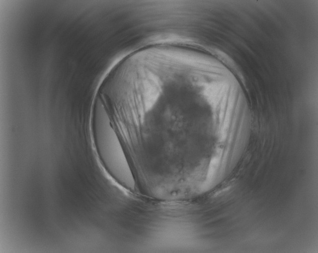 X0000067350863200604212000