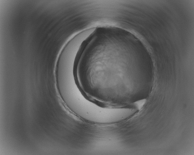 X0000067350864200604212000