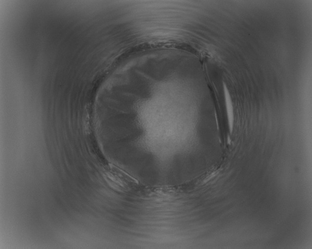 X0000067350868200604211959