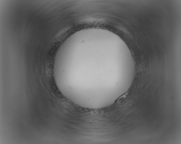 X0000067350869200604211959