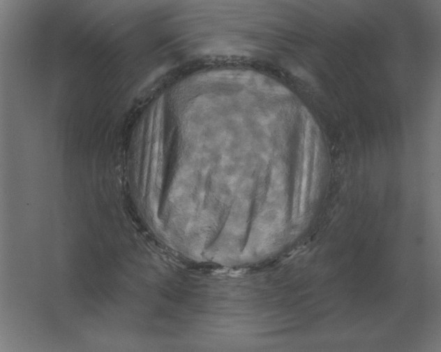 X0000067350870200604211959