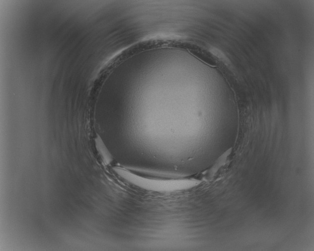 X0000067350872200604211959