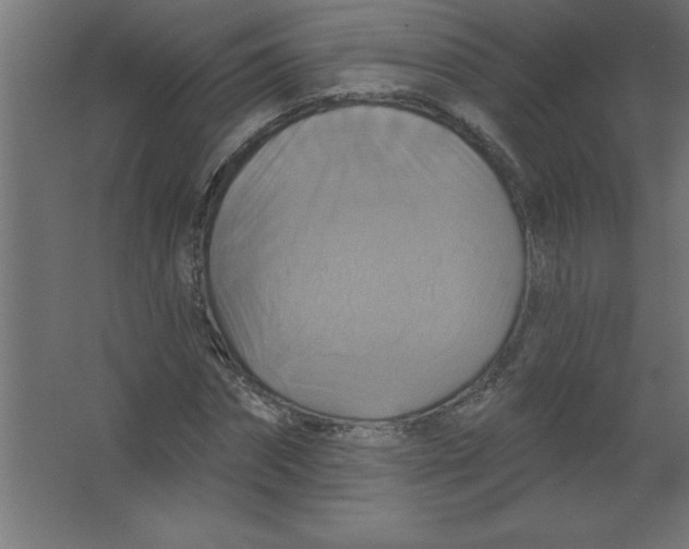 X0000067350874200604211959