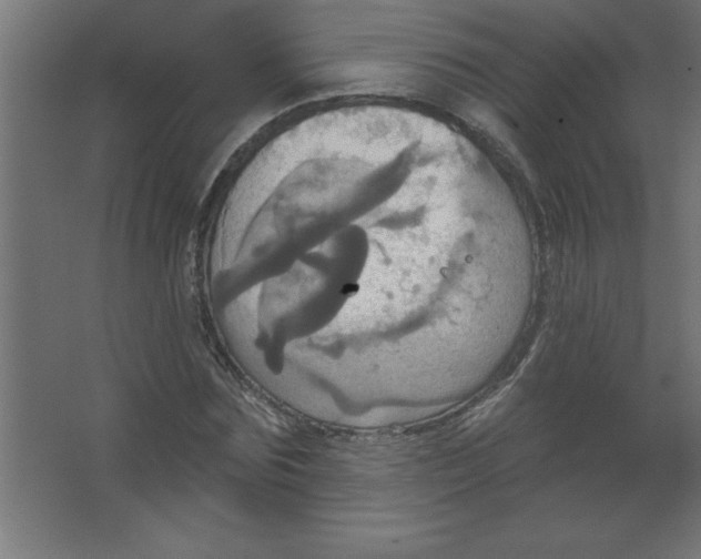 X0000067350875200604211959