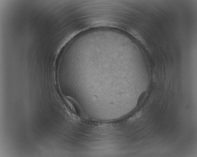 X0000067350877200604211959