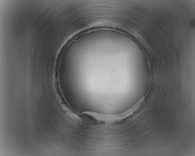 X0000067350880200604211959