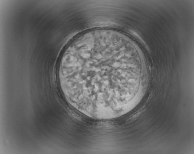 X0000067350883200604211959