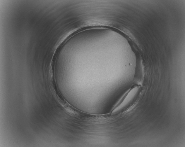 X0000067350885200604211959