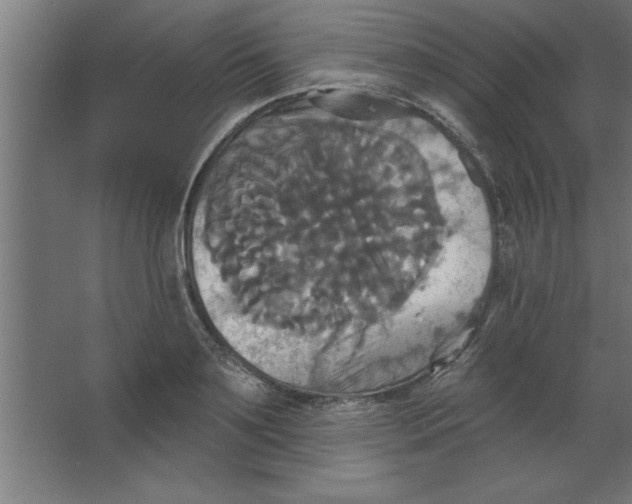 X0000067350891200604211958