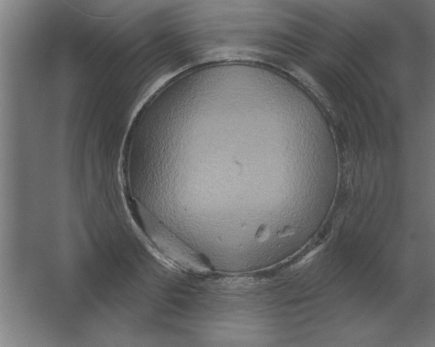 X0000067350893200604211958