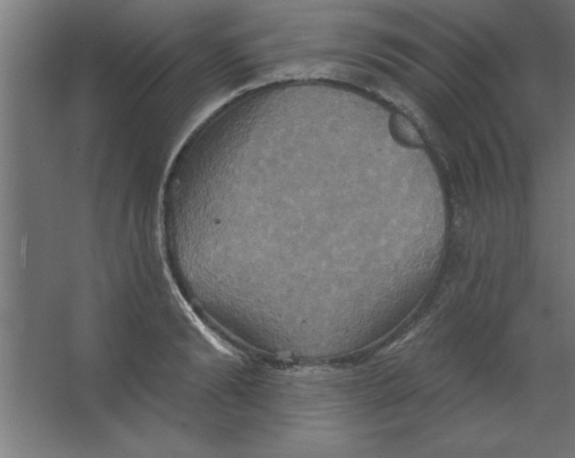 X0000067350894200604211958