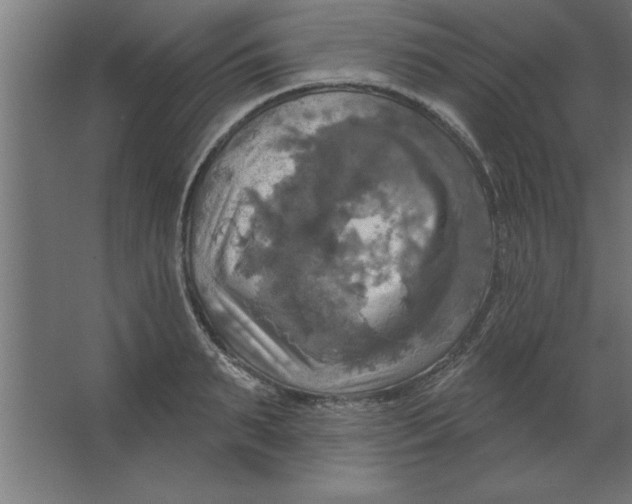 X0000067350895200604211958