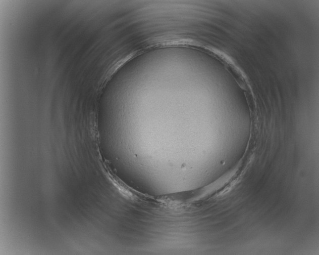 X0000067350897200604211958