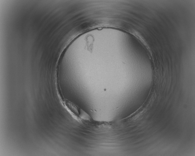 X0000067350898200604211958