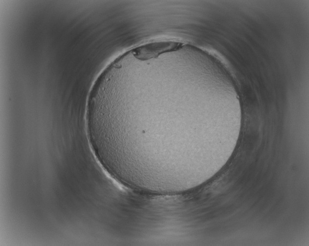 X0000067350902200604211958