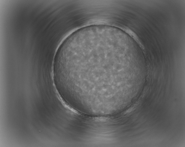 X0000067350904200604211958