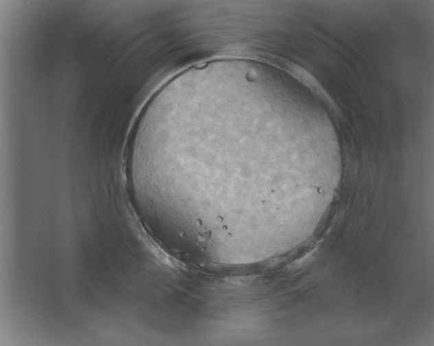 X0000067350908200604211958