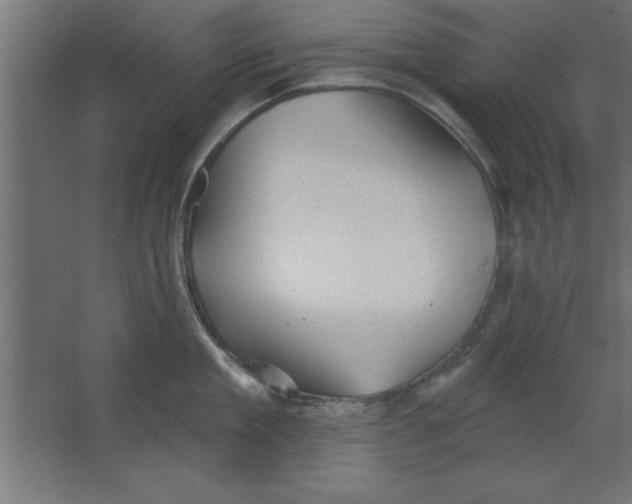 X0000067350909200604211958