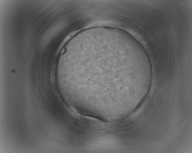 X0000067350912200604211958