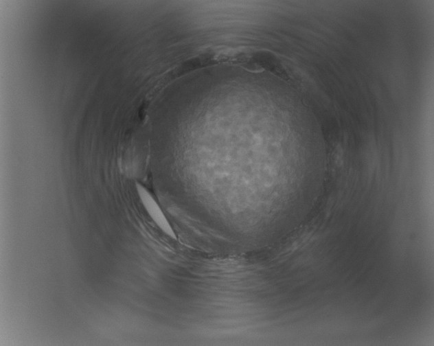 X0000067350914200604211957