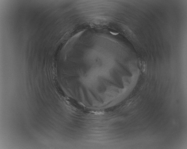 X0000067350915200604211957