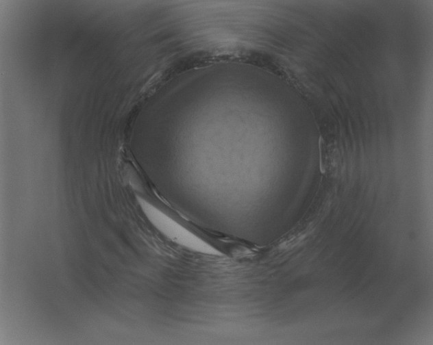 X0000067350916200604211957