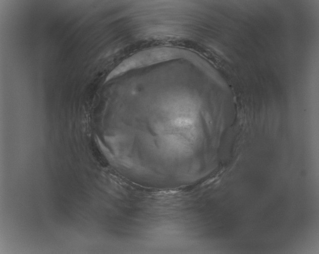 X0000067350917200604211957