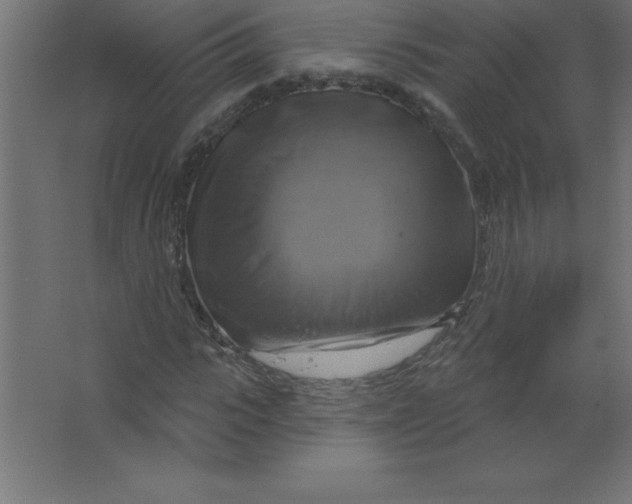 X0000067350919200604211957