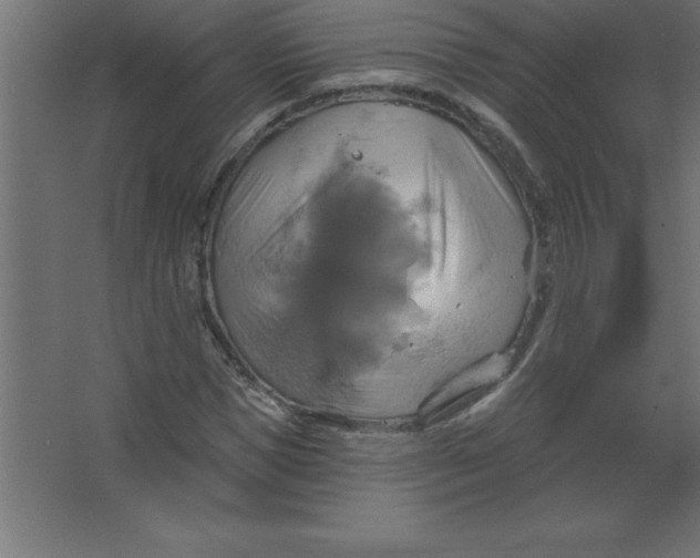 X0000067350921200604211957