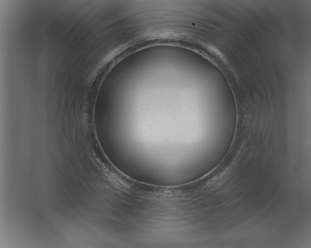 X0000067350922200604211957