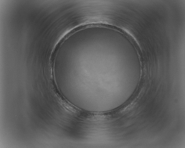 X0000067350925200604211957