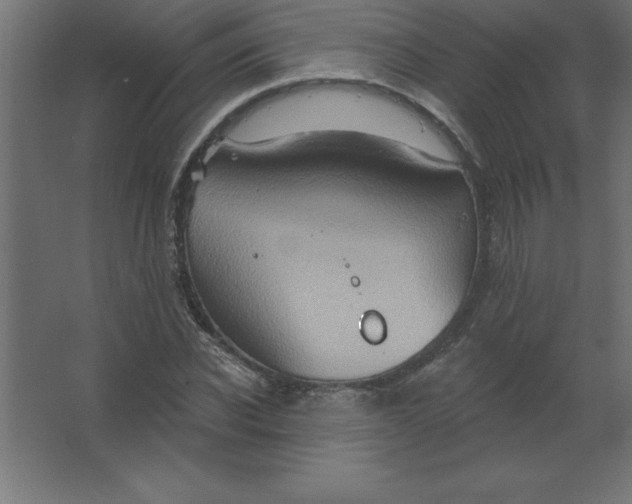 X0000067350926200604211957