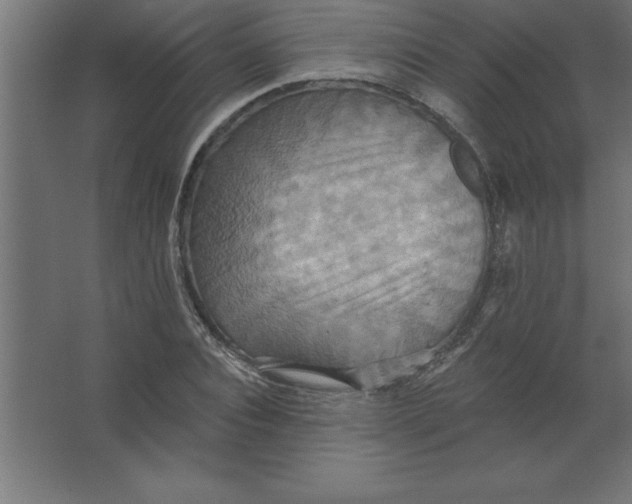 X0000067350928200604211958