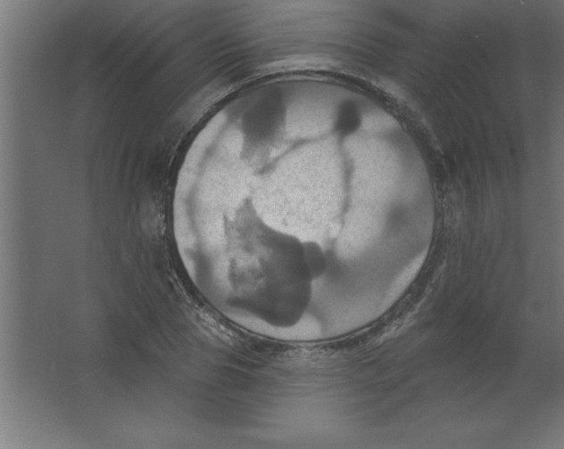 X0000067350929200604211958