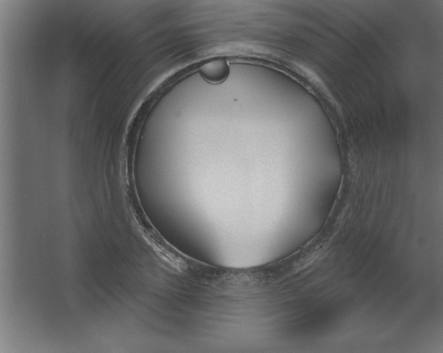 X0000067350931200604211958