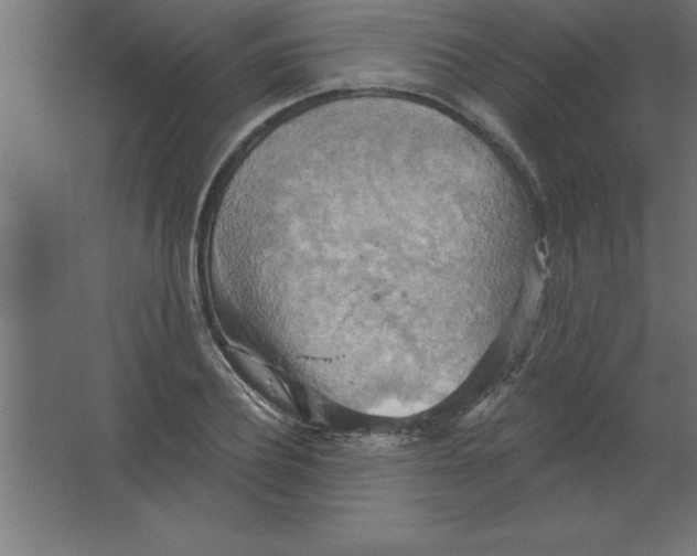 X0000067350932200604211958