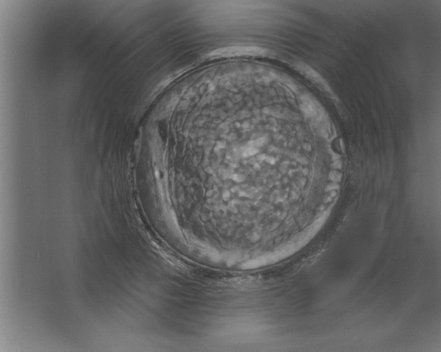 X0000067350937200604211958