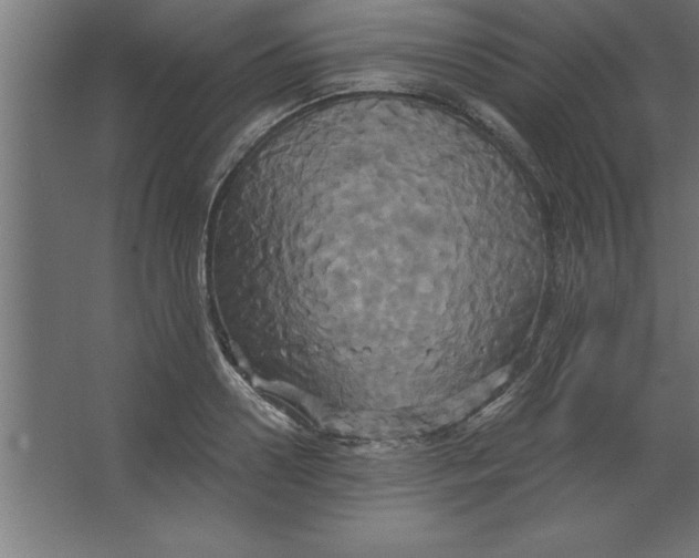 X0000067350938200604211958