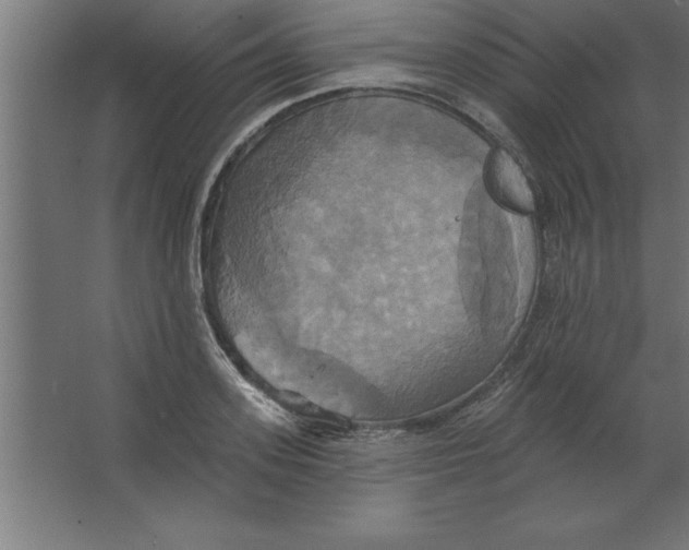 X0000067350939200604211958