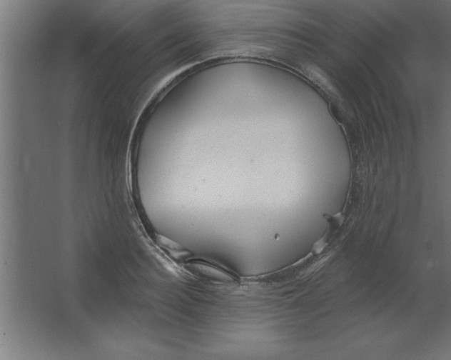 X0000067350940200604211958