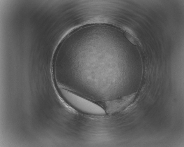 X0000067350942200604211958