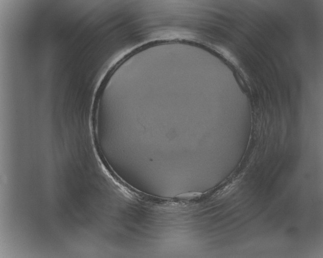 X0000067350943200604211958