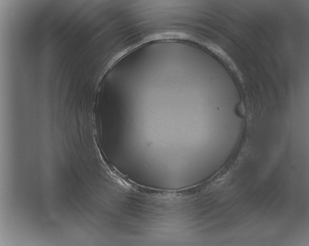 X0000067350945200604211958