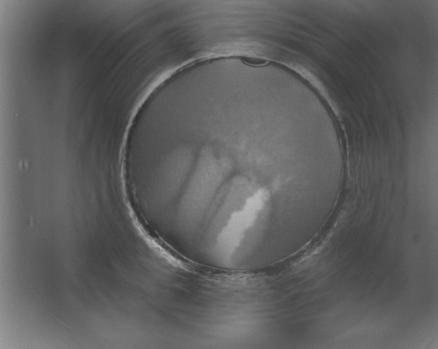 X0000067350949200604211958