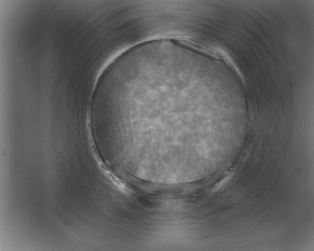 X0000067350952200604211958