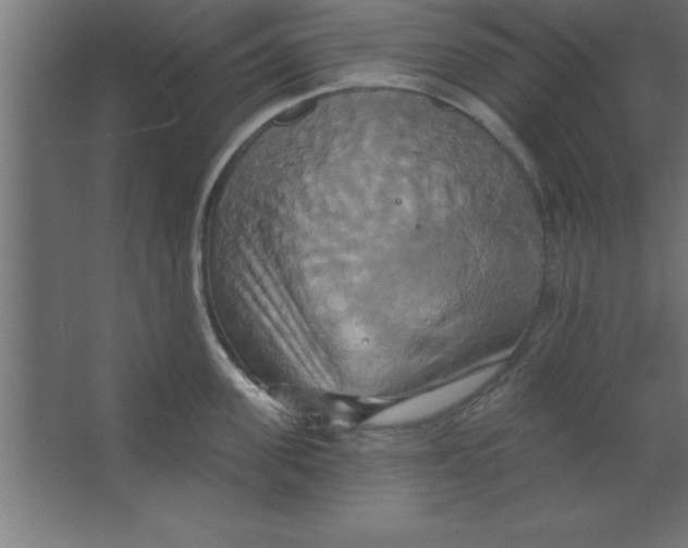 X0000067350955200604211958