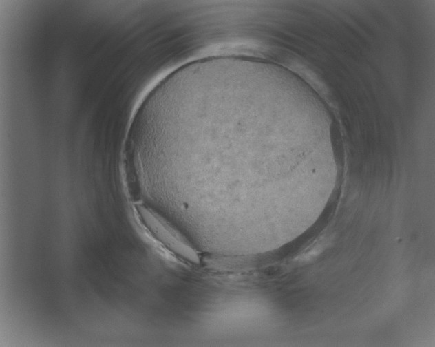 X0000067350960200604211958