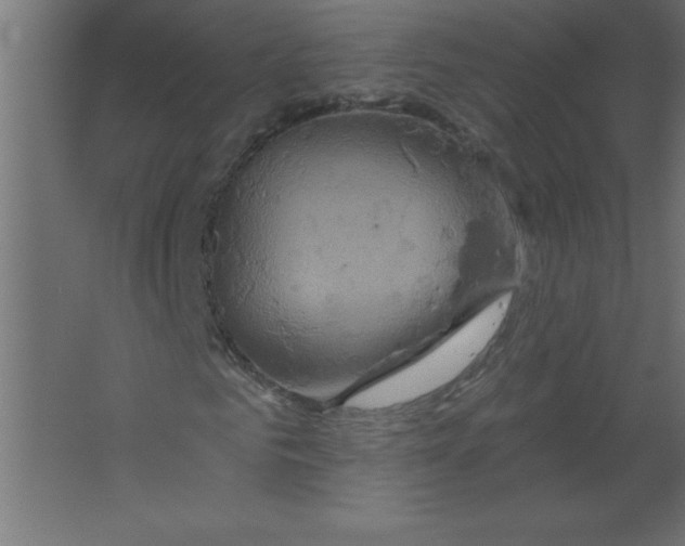 X0000067350961200604211957