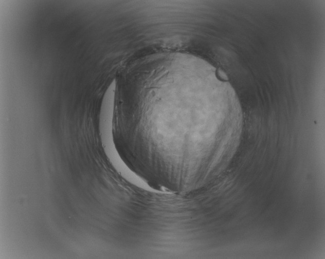 X0000067350962200604211957